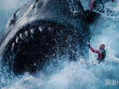 巨齿鲨vs大王乌贼谁更厉害 电影中弱化了前者的战斗力