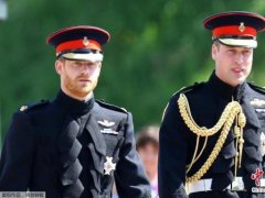 英国威廉王子将访新西兰 出席澳新军团日纪念活动